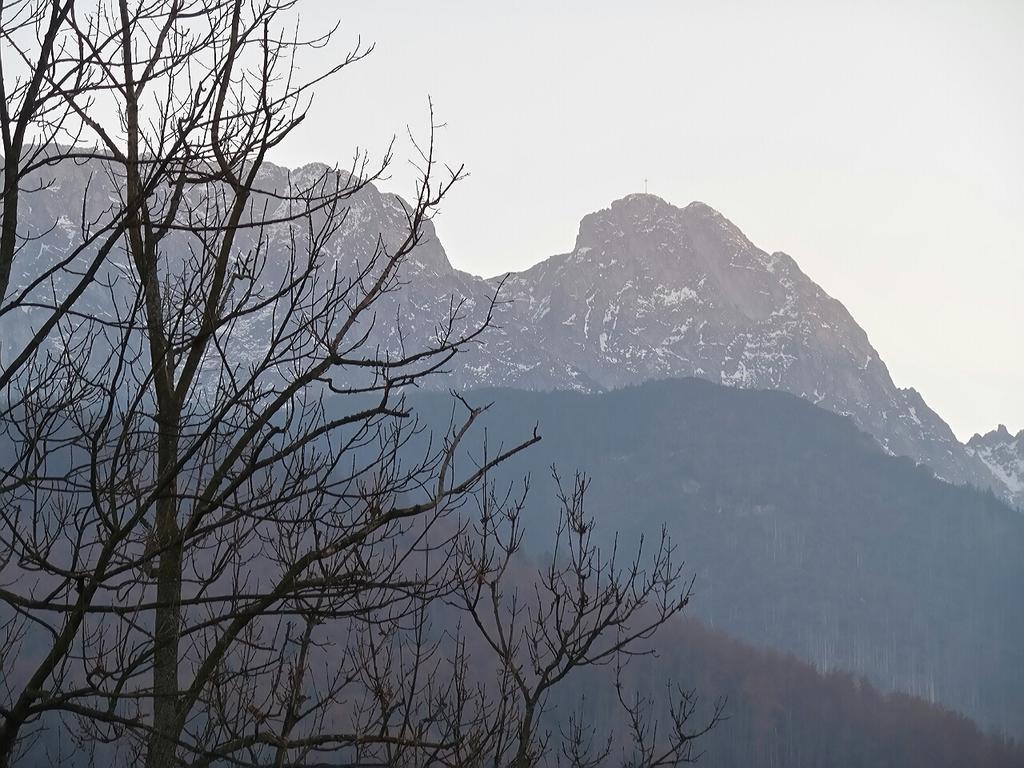 Willa Pod Halami Apartamento Zakopane Exterior foto
